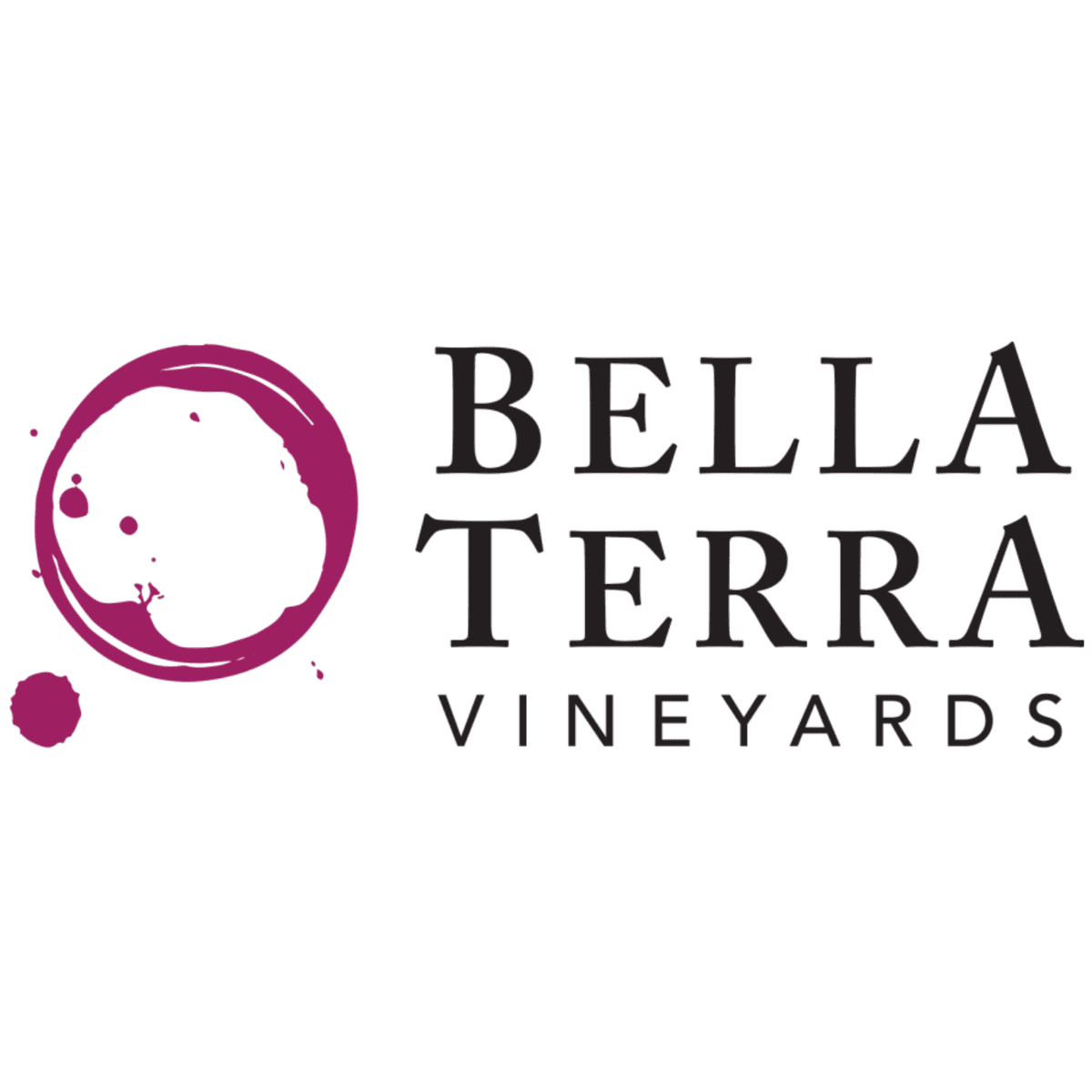 Bella Terra - Violet Cider 4-Pack - 12oz Can