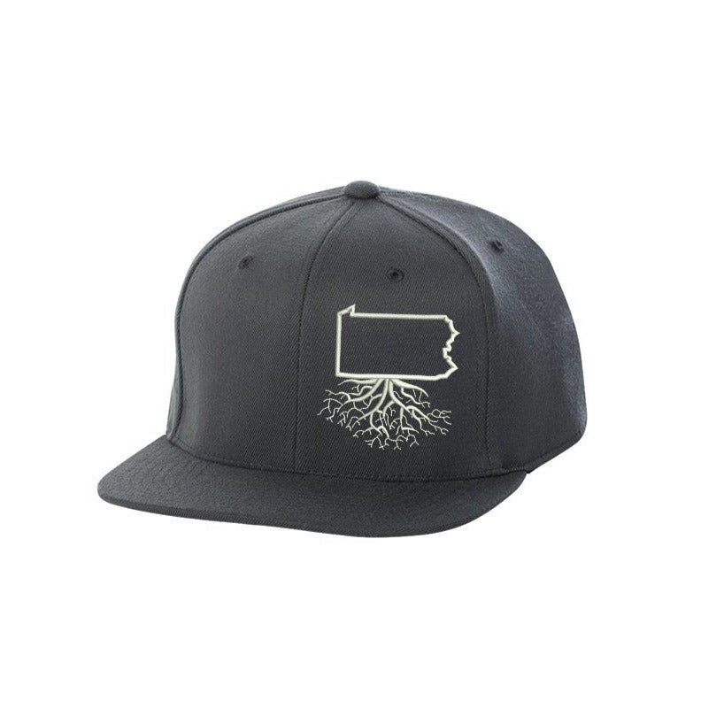 Pennsylvania FlexFit Snapback