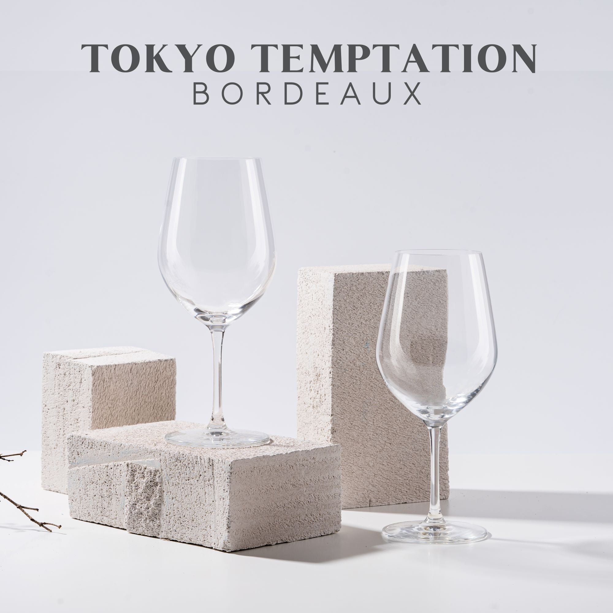 Tokyo Temptation Bordeaux Wine Glasses - Set of 2 (625 mL / 22 fl. oz.)