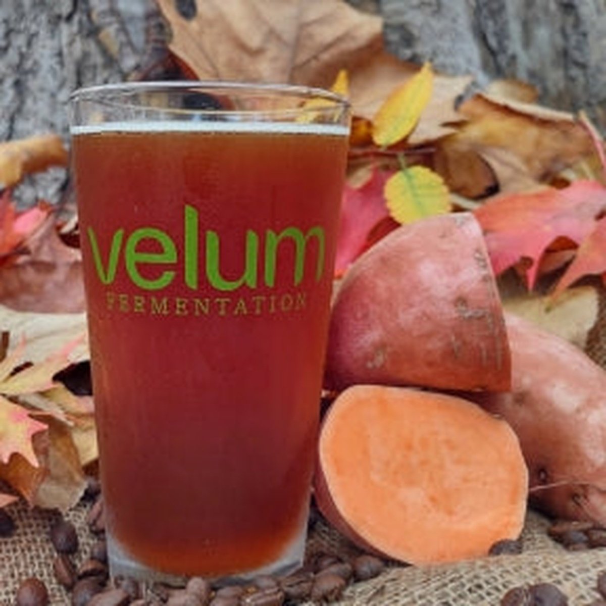 Velum Fermentation - Pumpkin Spiced Latte - Seasonal - 1/2 Keg